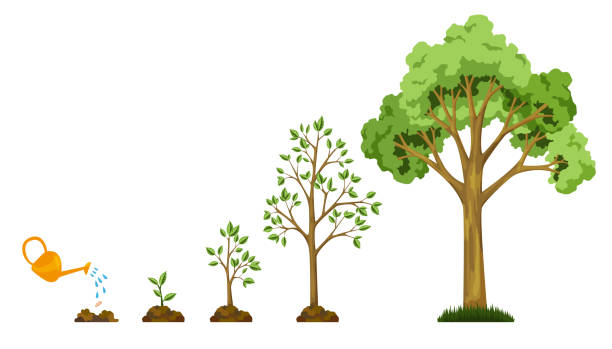 Detail Tree Image Nomer 24