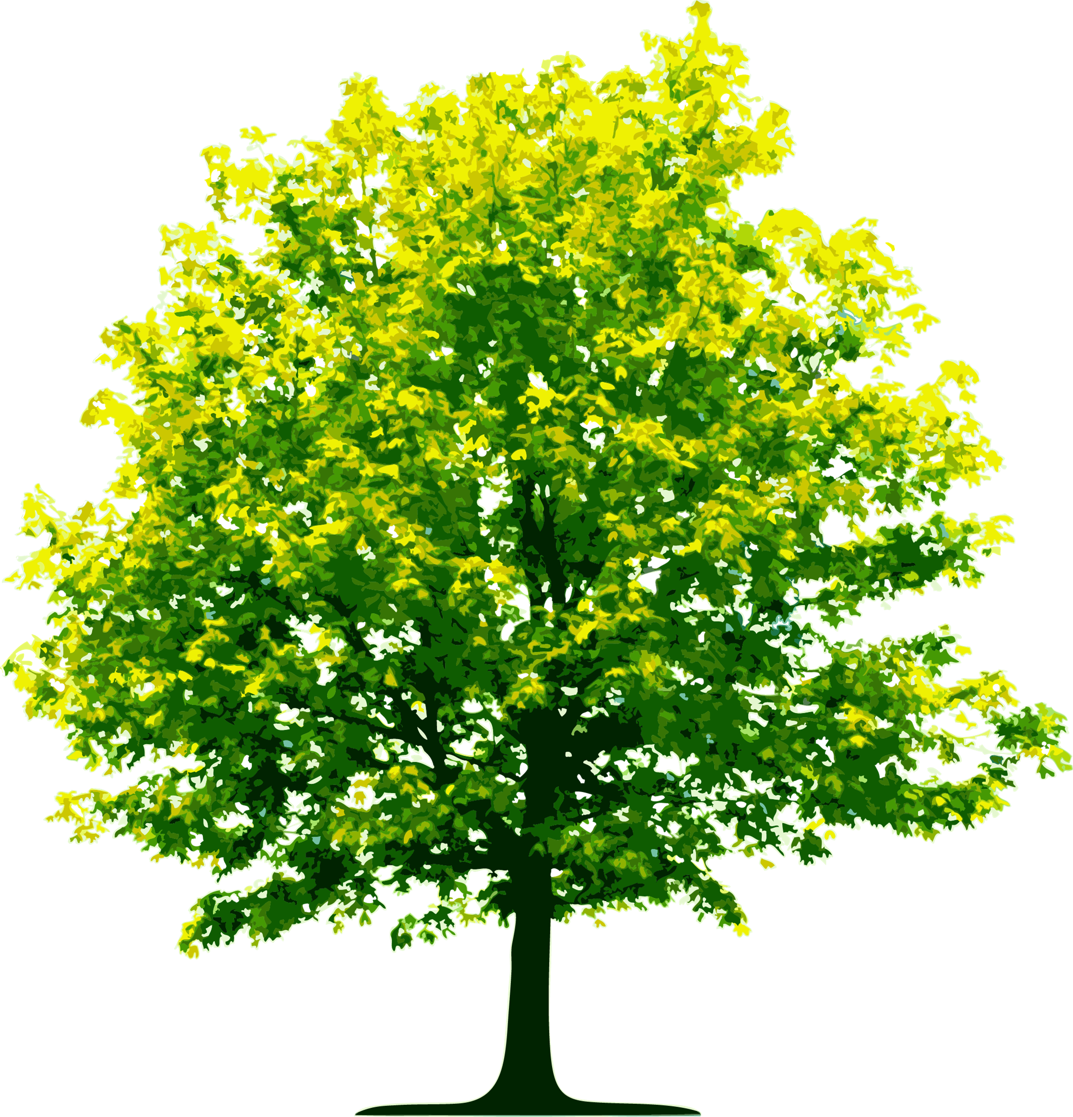 Detail Tree Image Nomer 28