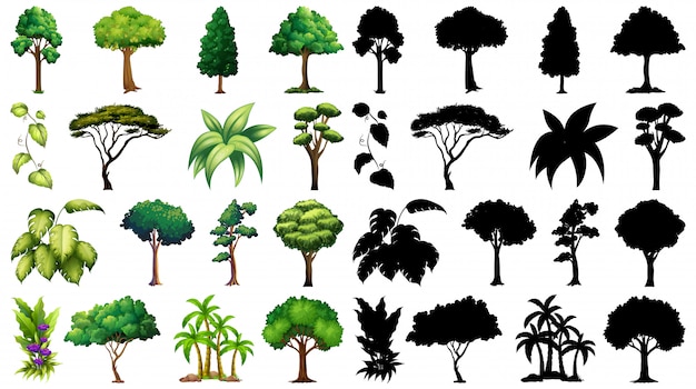 Detail Tree Images Free Nomer 34