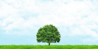 Detail Tree Images Free Nomer 49