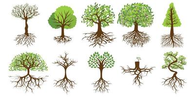 Detail Tree Images Free Nomer 53