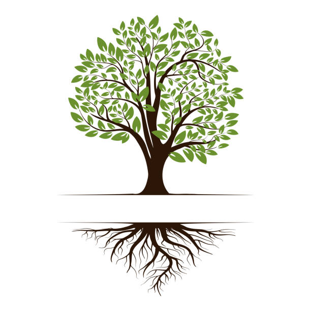 Detail Tree Images Free Nomer 7