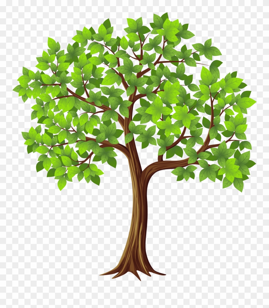 Detail Tree Images Free Download Nomer 15