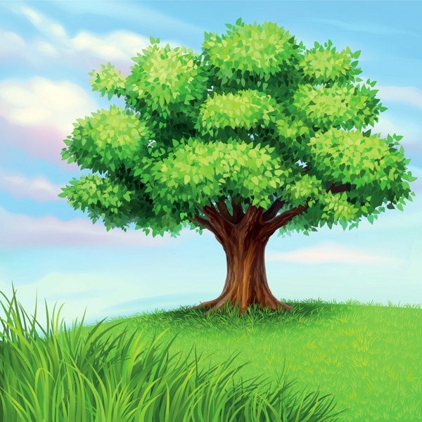 Detail Tree Images Free Download Nomer 16