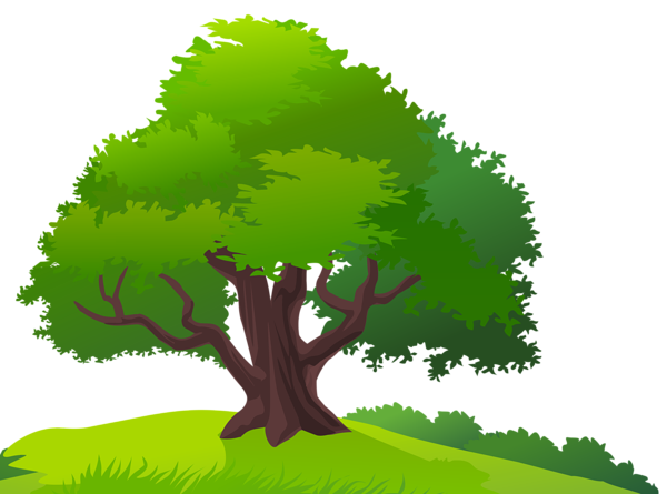 Detail Tree Images Free Download Nomer 21