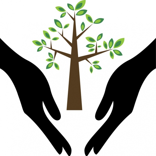 Detail Tree Images Free Download Nomer 30