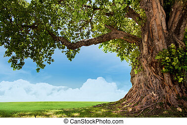 Detail Tree Images Free Download Nomer 39