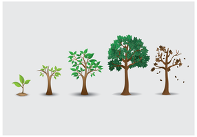 Detail Tree Images Free Download Nomer 40