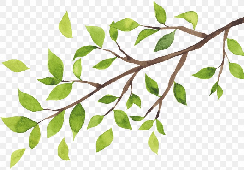 Detail Tree Leaf Png Nomer 25