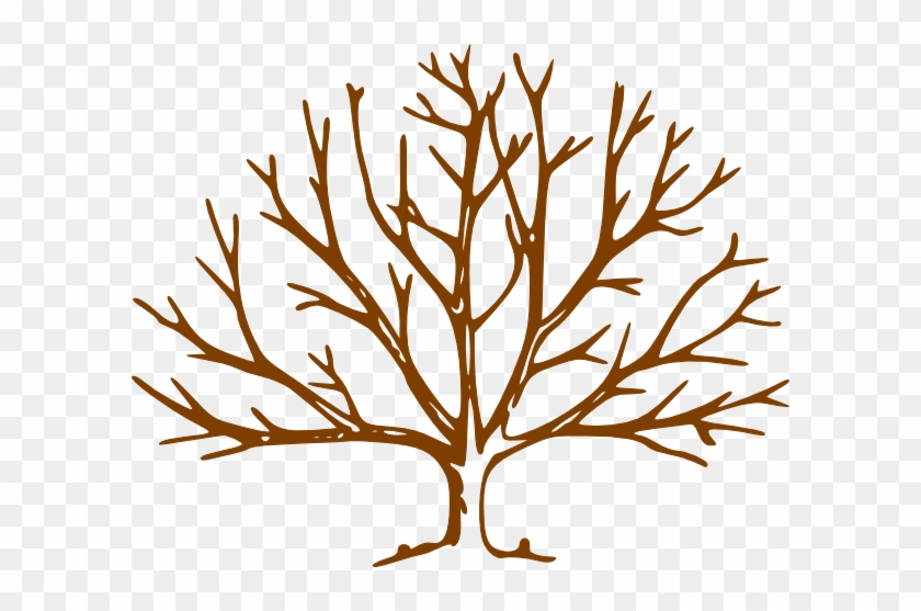 Detail Tree No Leaves Clipart Nomer 17