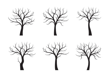 Detail Tree No Leaves Clipart Nomer 30