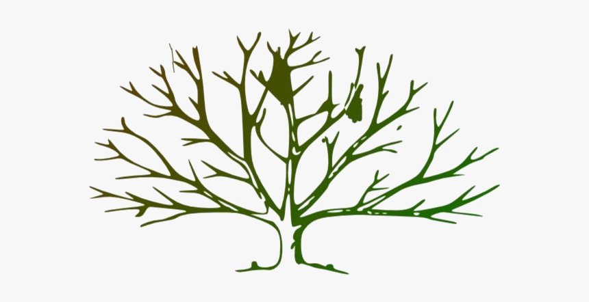 Detail Tree No Leaves Clipart Nomer 32