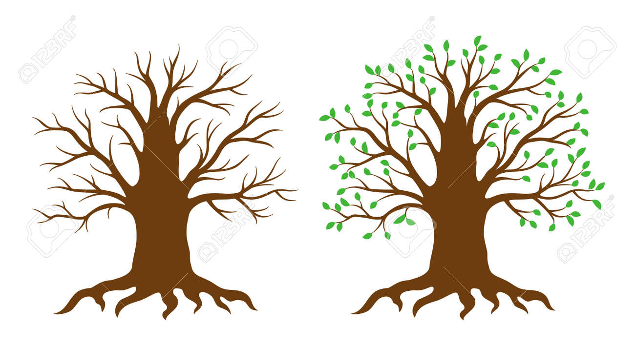 Detail Tree No Leaves Clipart Nomer 50