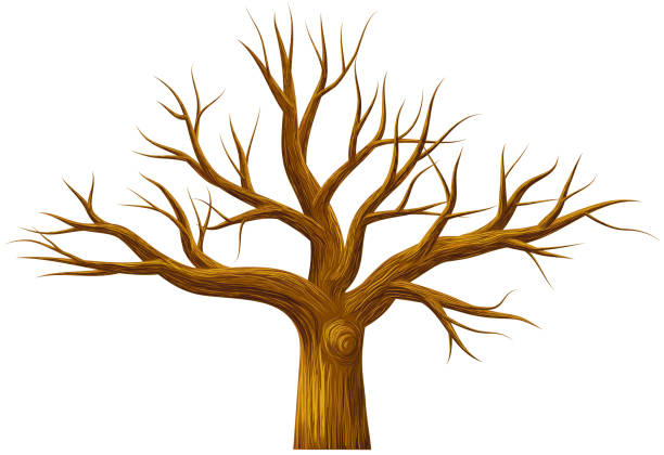 Detail Tree No Leaves Clipart Nomer 10