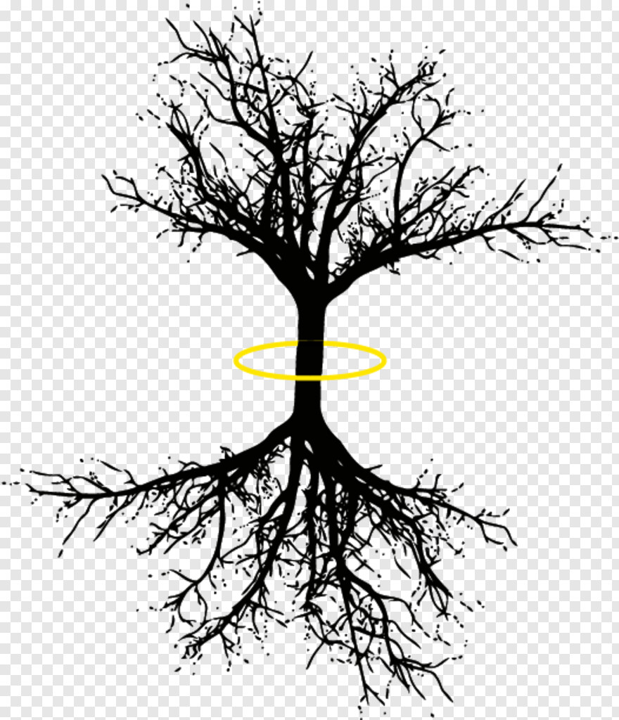 Detail Tree Of Life Picsart Nomer 44