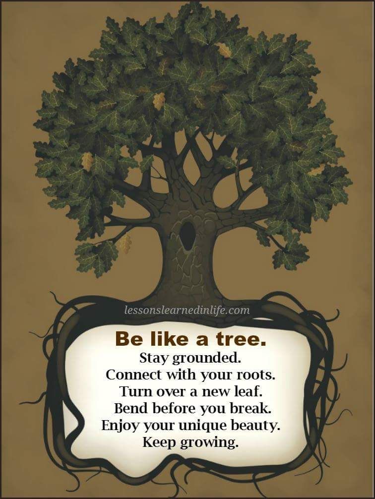 Tree Of Life Quotes - KibrisPDR