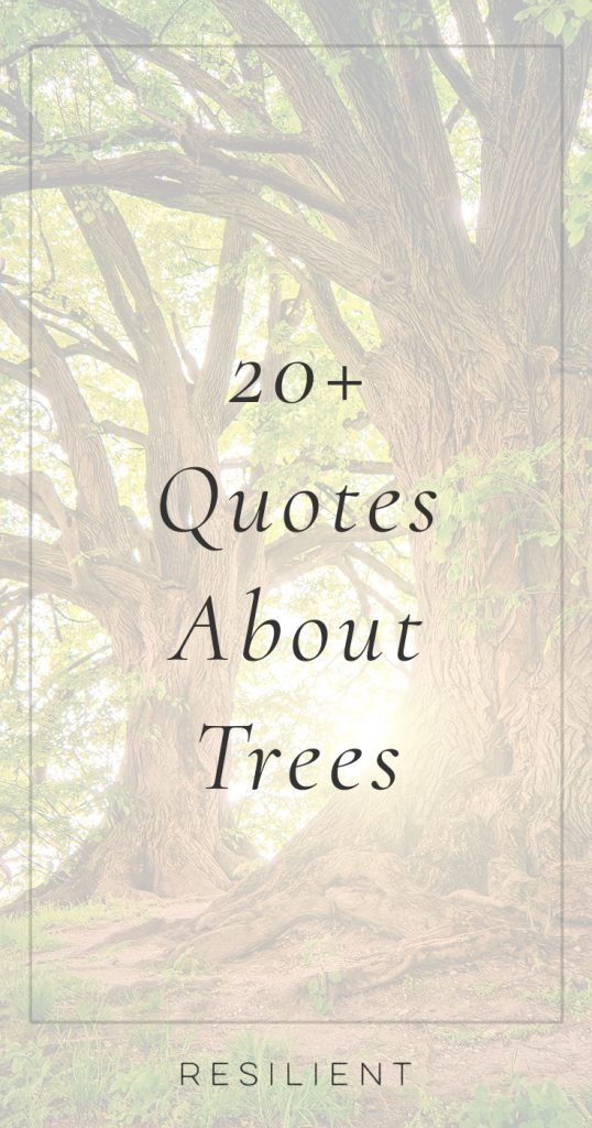 Detail Tree Of Life Quotes Nomer 28