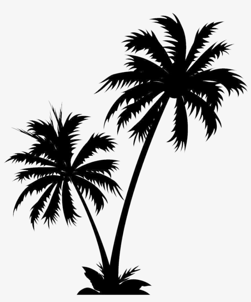 Detail Tree Palm Png Nomer 31