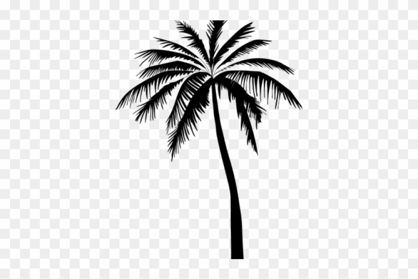 Detail Tree Palm Png Nomer 45