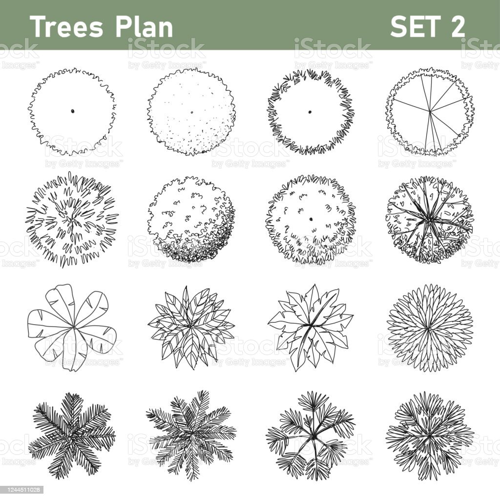 Detail Tree Plan Nomer 16