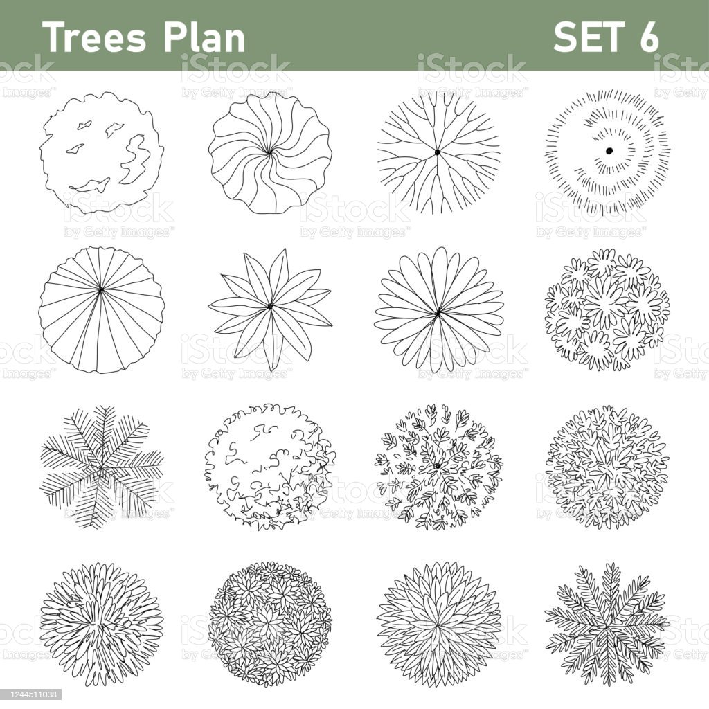 Detail Tree Plan Nomer 19
