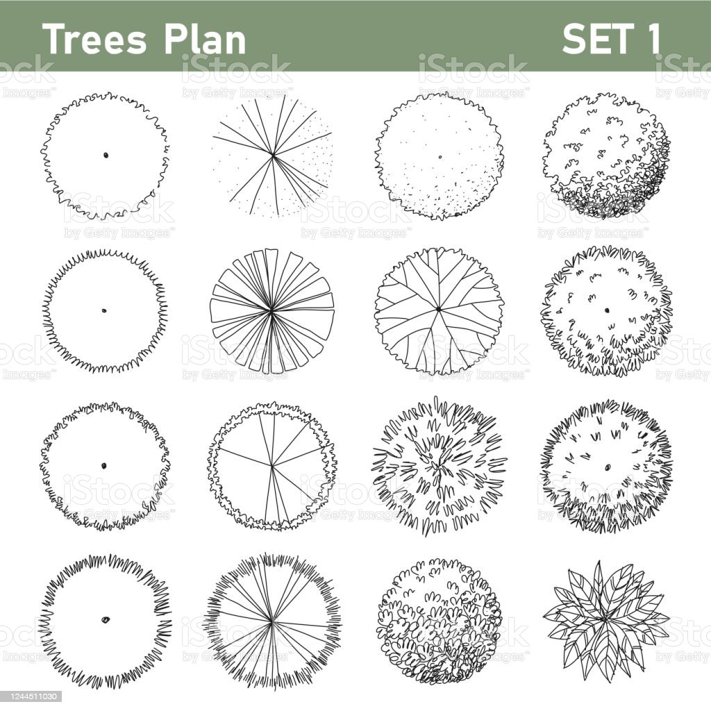 Detail Tree Plan Nomer 7