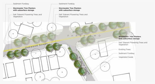 Detail Tree Plan Png Nomer 29