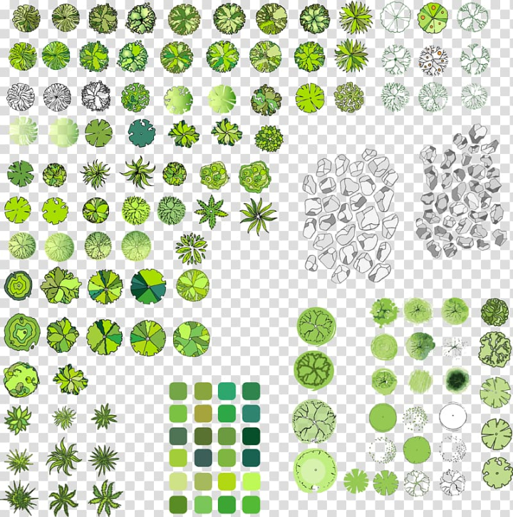 Detail Tree Plan Png Nomer 50