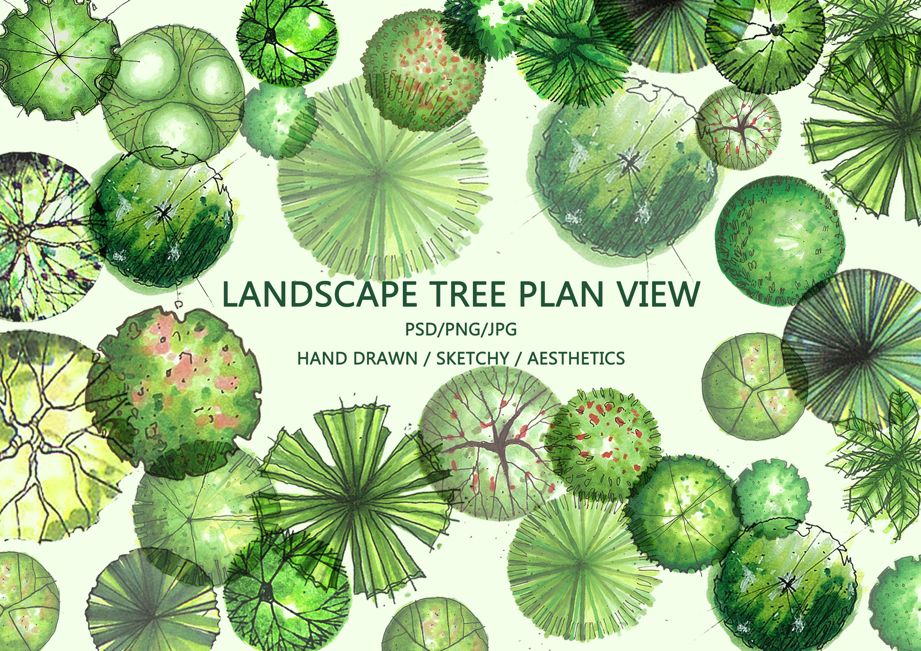 Detail Tree Plan View Png Nomer 49