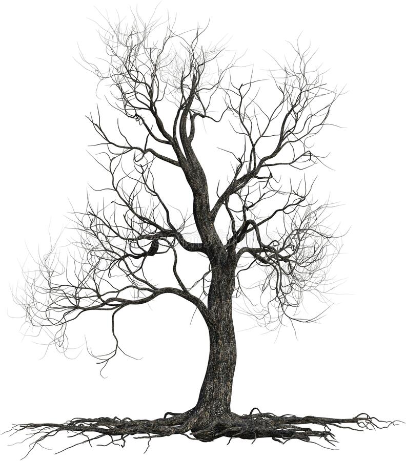 Detail Tree Png File Nomer 37