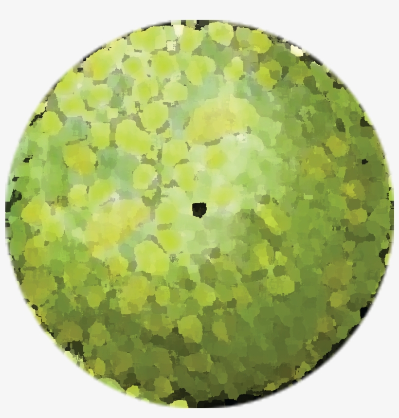 Detail Tree Png Plan Nomer 24