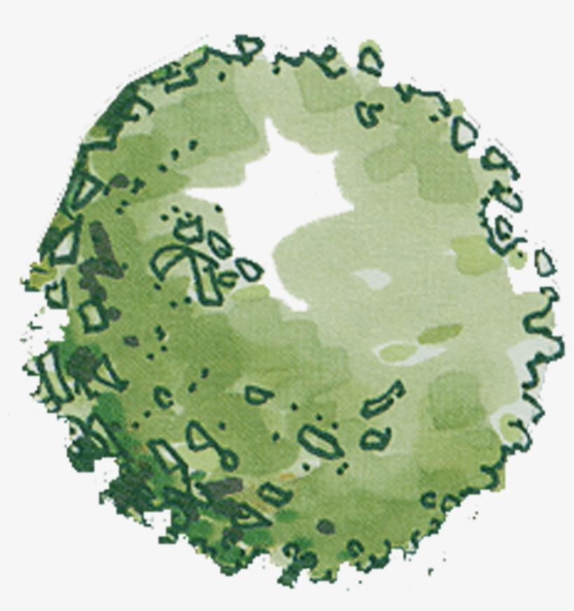 Detail Tree Png Plan Nomer 26
