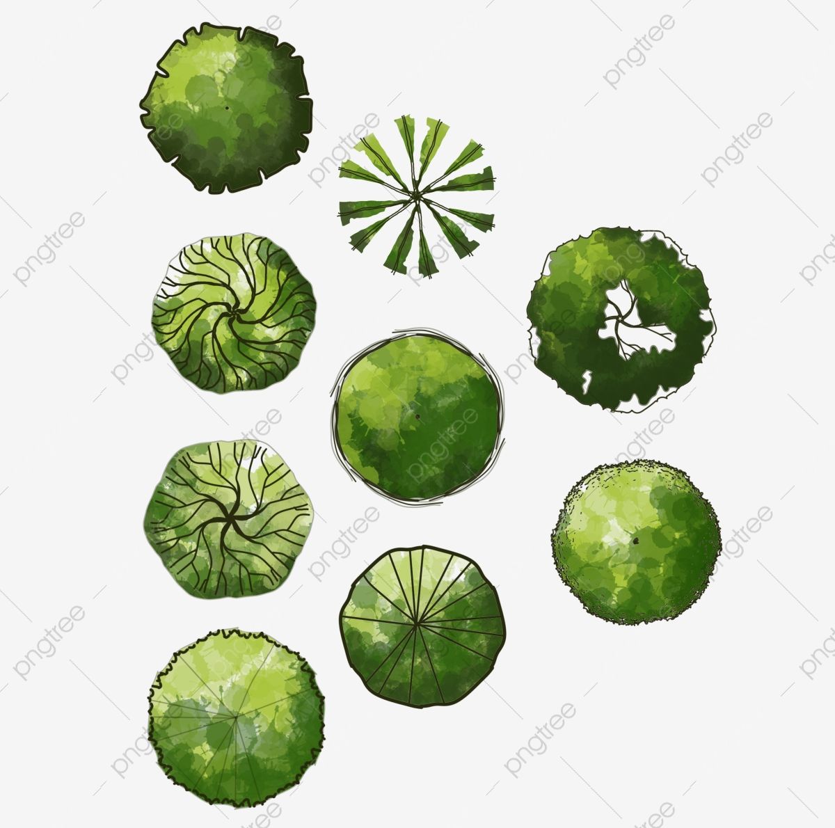 Detail Tree Png Plan Nomer 44