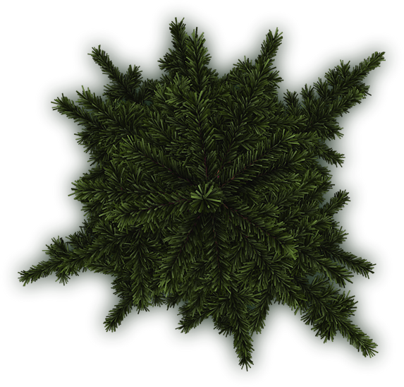 Detail Tree Png Plan Nomer 46