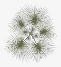 Detail Tree Png Top View Nomer 16