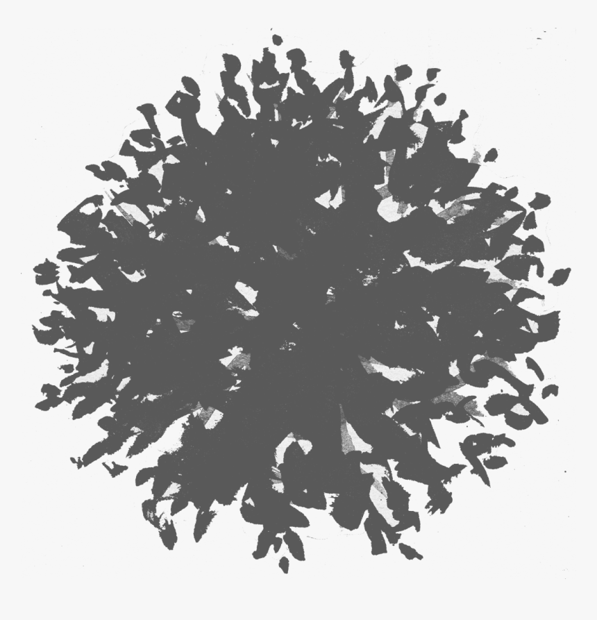 Detail Tree Png Top View Nomer 35