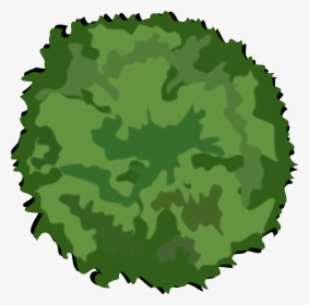 Detail Tree Png Top View Nomer 38