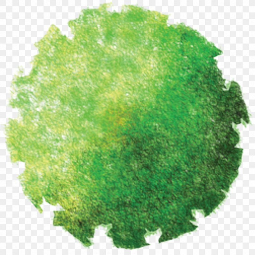 Detail Tree Png Top View Nomer 41