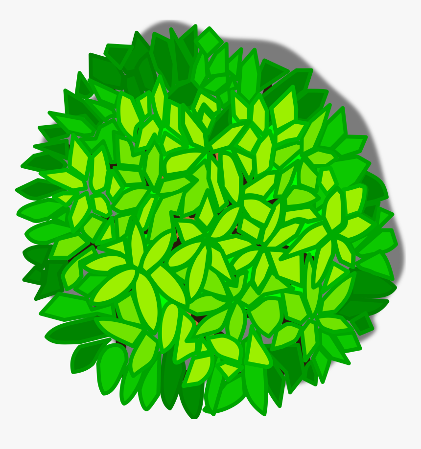 Detail Tree Png Top View Nomer 47