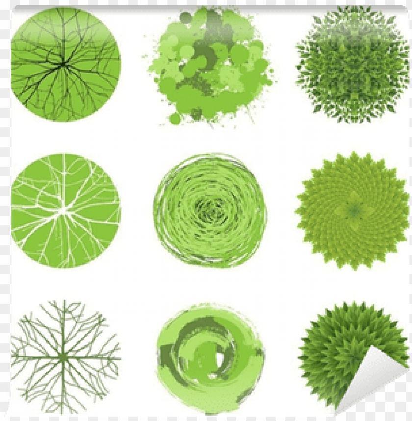 Detail Tree Png Top View Nomer 48
