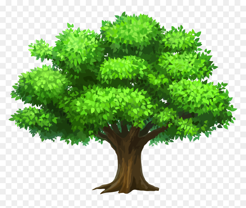 Detail Tree Png Vector Nomer 17