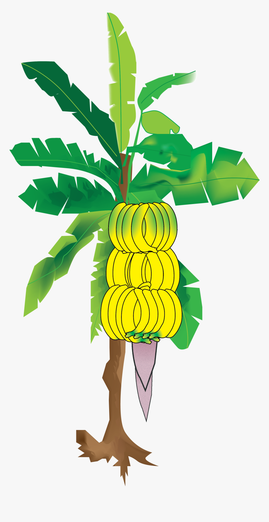 Detail Tree Png Vector Nomer 32