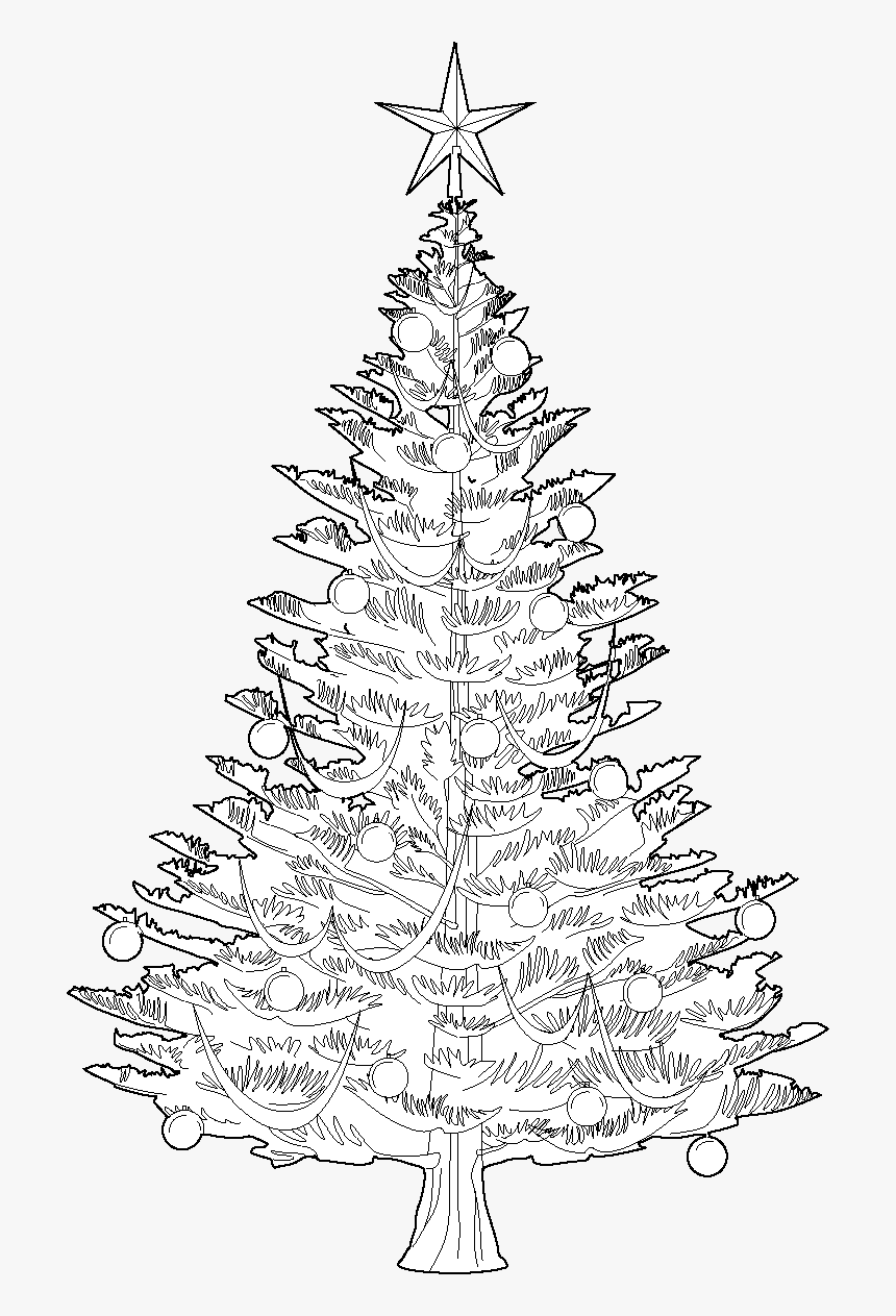 Detail Tree Png Vector Nomer 40