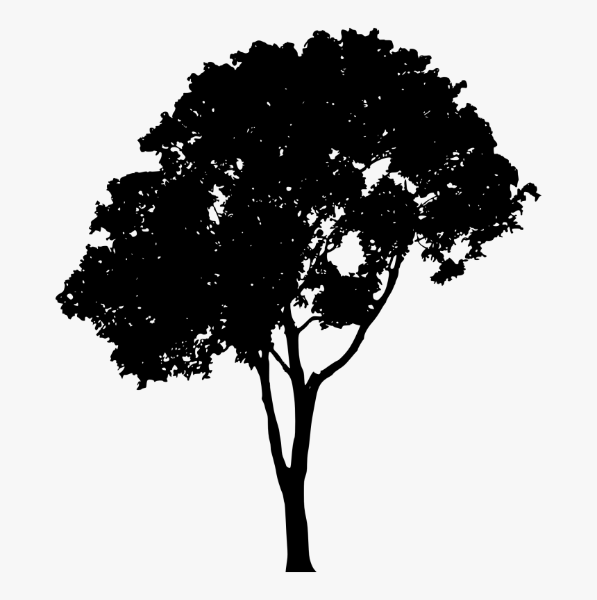 Detail Tree Png Vector Nomer 5