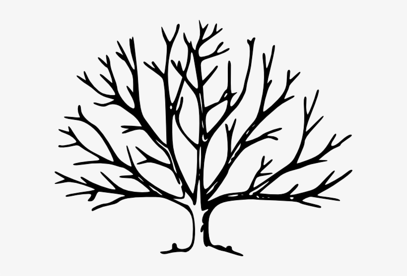Detail Tree Png Vector Nomer 49
