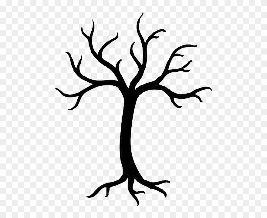 Detail Tree Png Vector Nomer 52