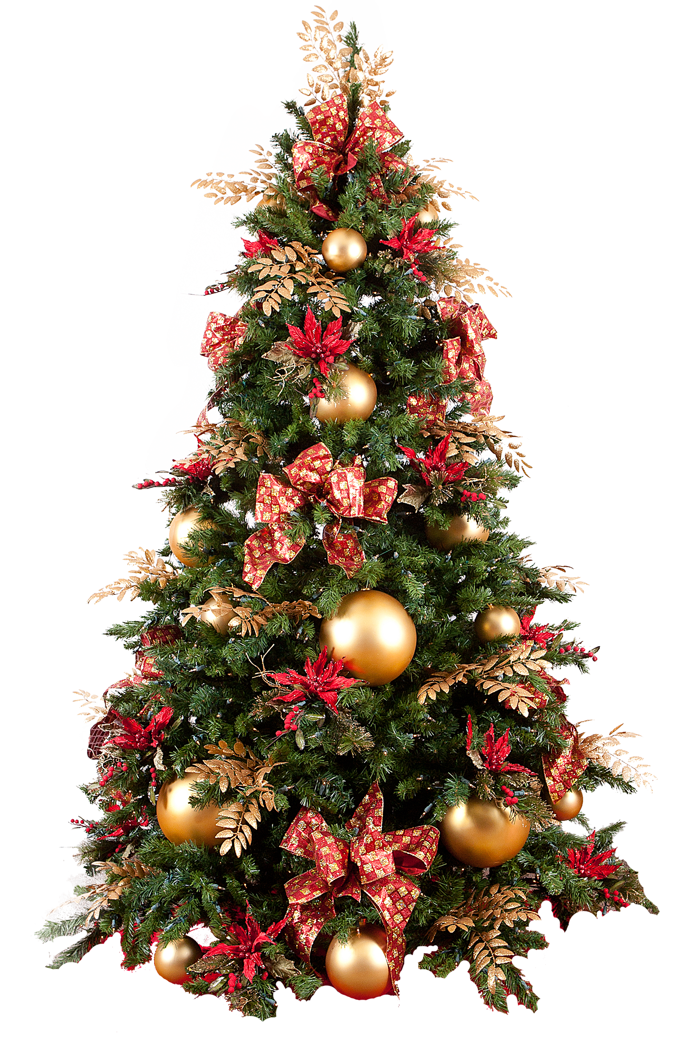 Detail Tree Pngs Nomer 41