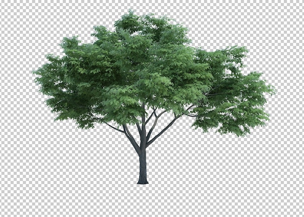 Detail Tree Psd Nomer 12