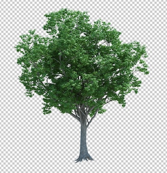 Detail Tree Psd Nomer 33