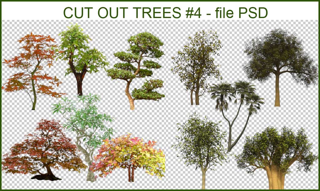 Detail Tree Psd Nomer 35